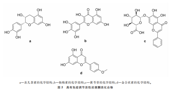 植提圖片24